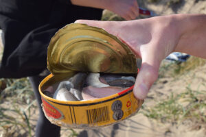 Surströmming