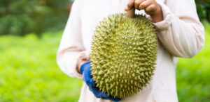 etenswaren die erg stinken: durian