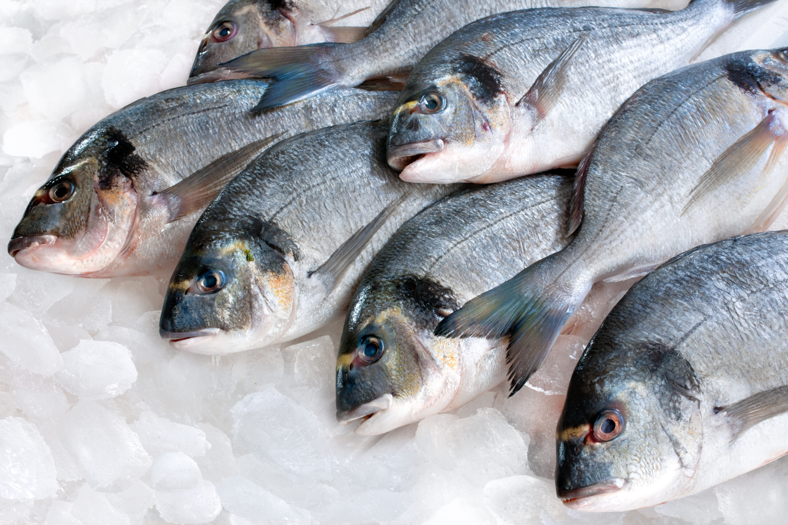 daarna dealer pit Keukenhack: vliegensvlug vis ontdooien doe je zo - Culinaire Ambiance