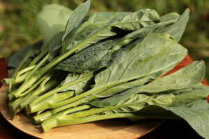 chinese broccoli