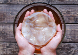 scoby kombucha